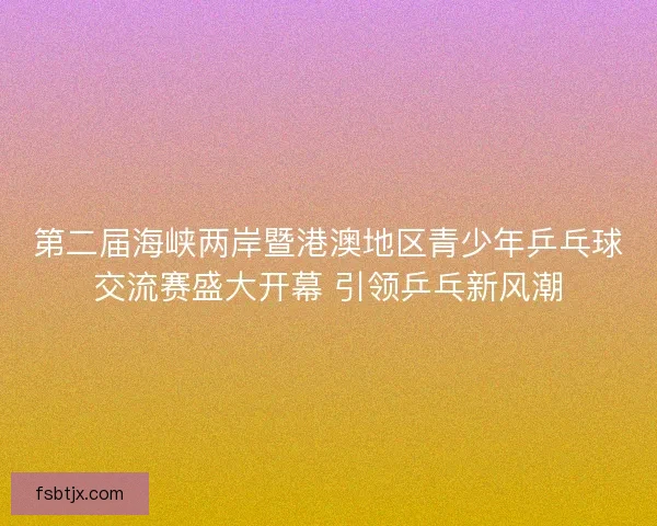 第二届海峡两岸暨港澳地区青少年乒乓球交流赛盛大开幕 引领乒乓新风潮