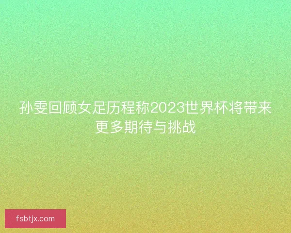 孙雯回顾女足历程称2023世界杯将带来更多期待与挑战 孙雯回顾女足历程称2023世界杯将带来更多期待与挑战