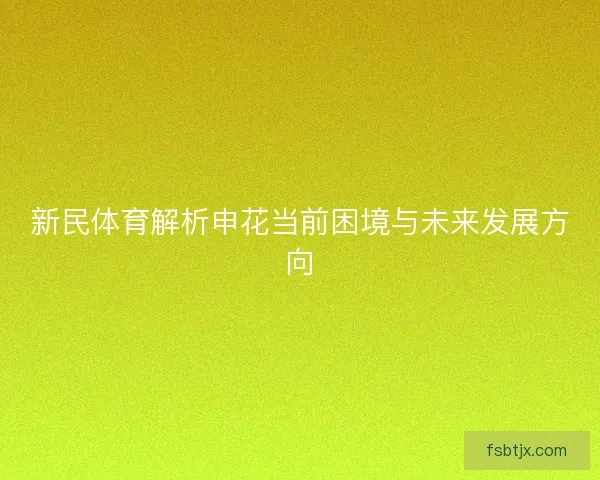 新民体育解析申花当前困境与未来发展方向