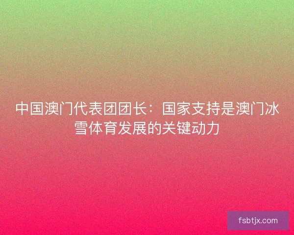 中国澳门代表团团长:国家支持是澳门冰雪体育发展的关键动力 中国澳门代表团团长:国家支持是澳门冰雪体育发展的关键动力